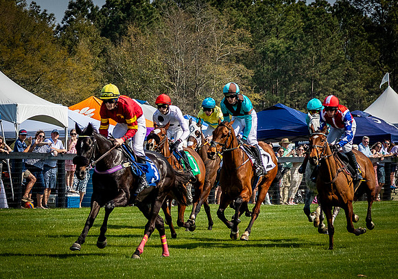 Horses-9494