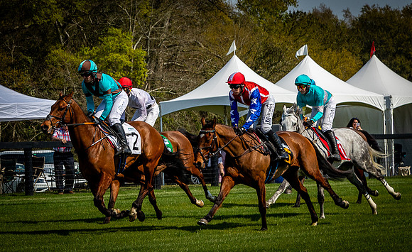 Horses-9497