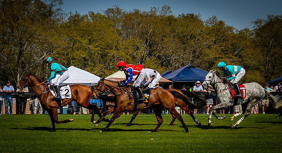 Horses-9500
