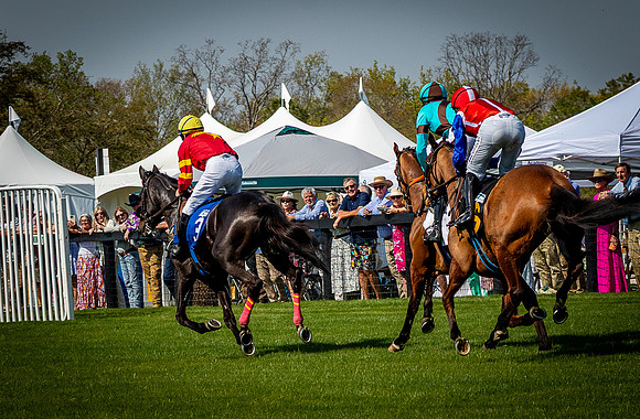 Horses-9504