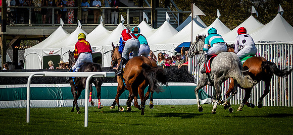 Horses-9506