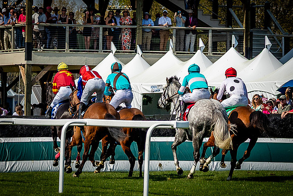 Horses-9507