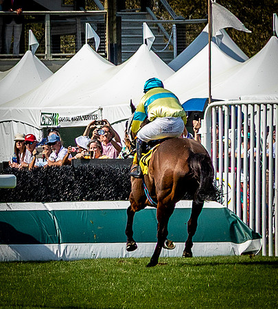 Horses-9508