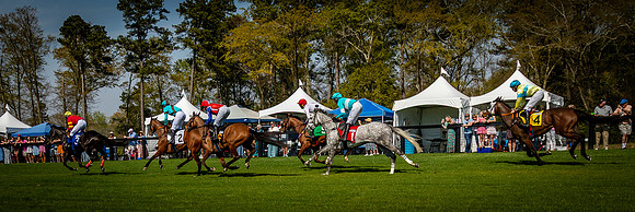 Horses-9502