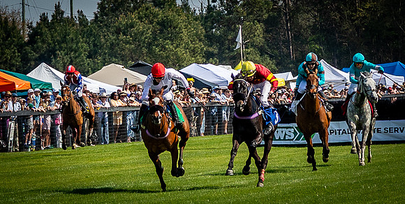Horses-9515