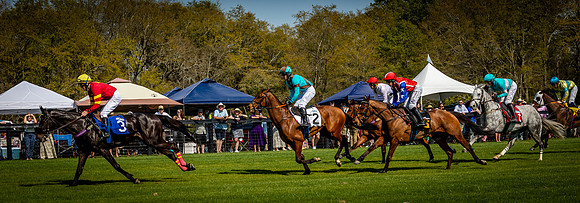 Horses-9499