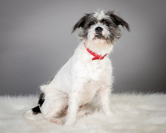 Foster Leeza-2543