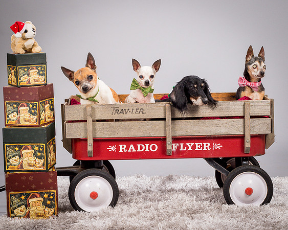 Foster Hospice Gang-3895