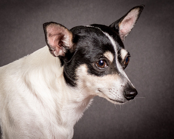 Foster Richa-0473