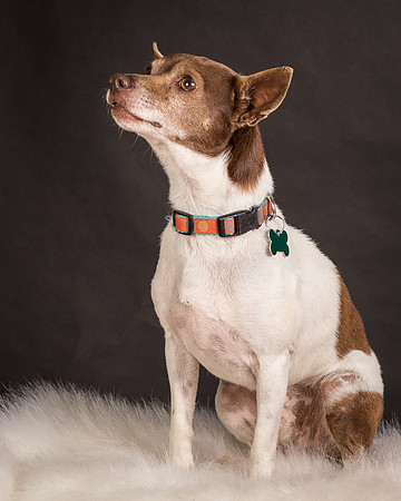 Foster Gus-0314