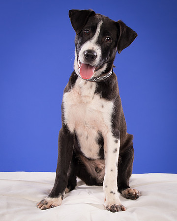 Foster Rascal-2435
