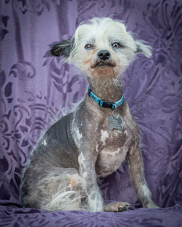 Foster Freckles-5417