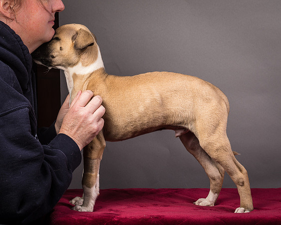 Foster Barnabas-4509