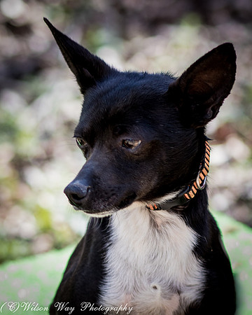 Foster Luke-4768
