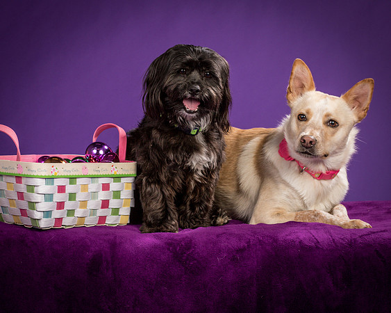 Henry and Maggie-1274