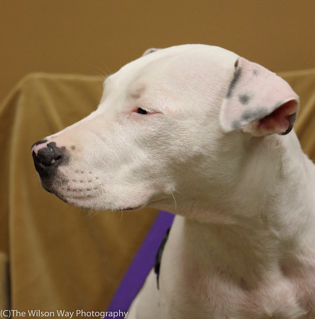 Foster Curt-0589