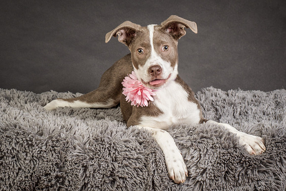 Foster Ari-8562