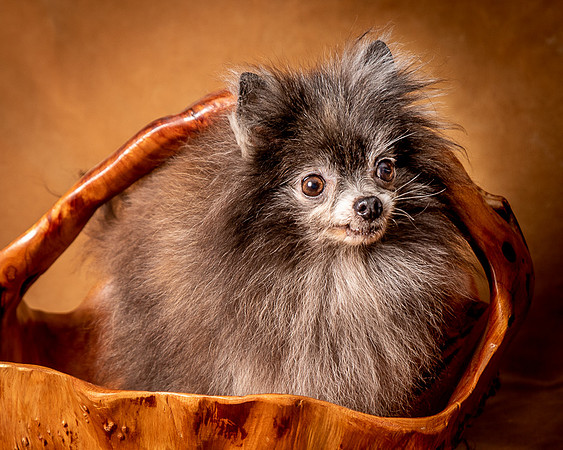 Foster Loretta-1330
