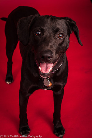 Charley-6226
