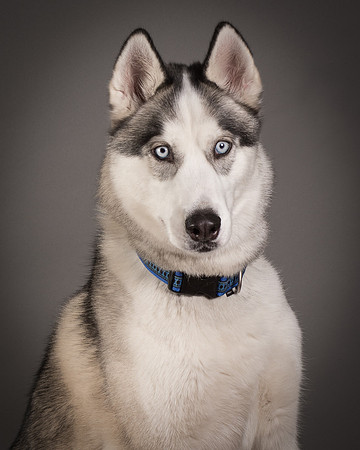 Foster Aspen-7648