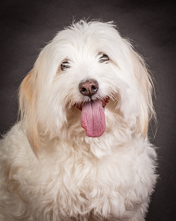 Foster Frosty-0576