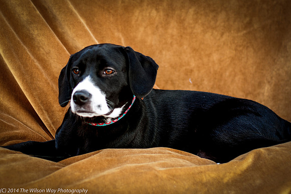 Foster Ciara-2202
