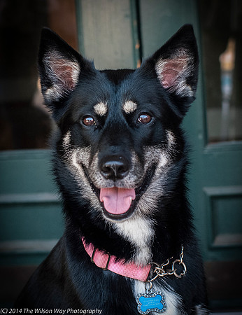 Foster Mala-9479