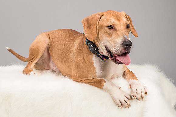 Foster Troy-6297
