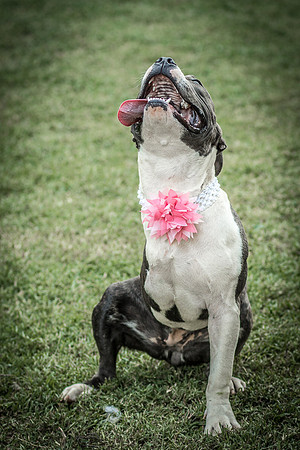 Foster Maya-0321