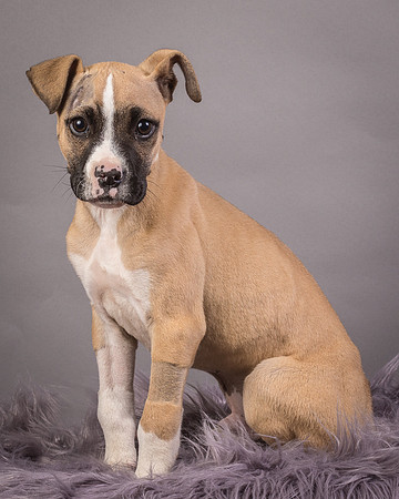 Foster Barnabas-4492