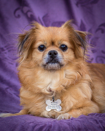 Foster Tia Maria-7859