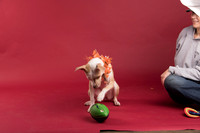 Calendar Bloopers-9095