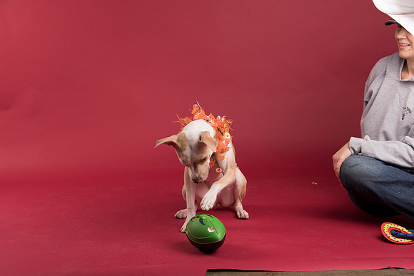 Calendar Bloopers-9095
