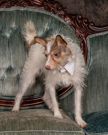 Foster Reagan-4858