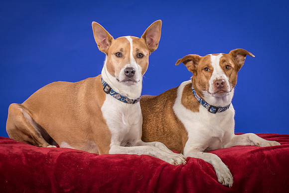 Urschel-Ethel and Ruby-9719