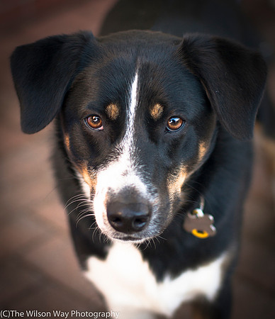 Foster Cady-9878