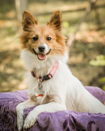 Foster Brandi-3229