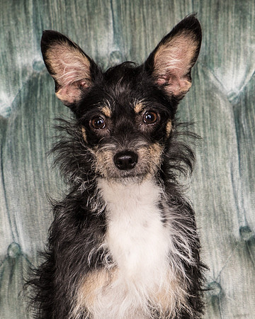 Foster Riley-4838