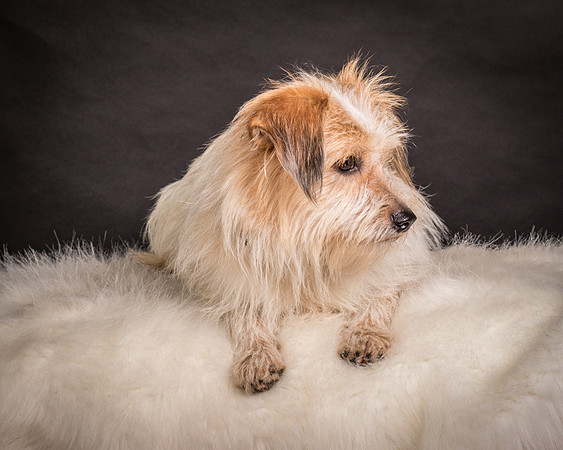 Foster Tiny-1657