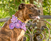 Darlington - Chloe-8635