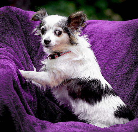 Foster Anouk-8774