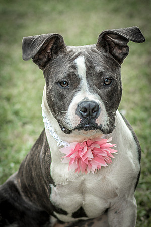 Foster Maya-0324