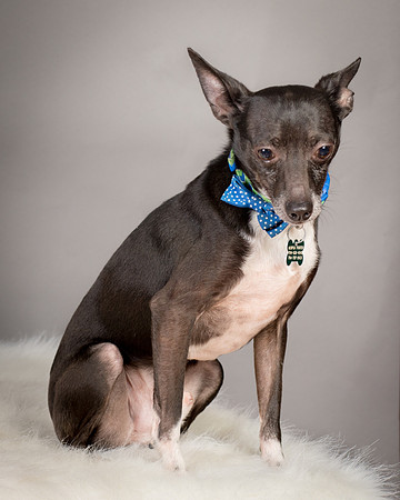 Foster Luc-5053