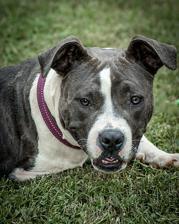 Foster Maya-0250