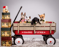 Foster Hospice Gang-3802