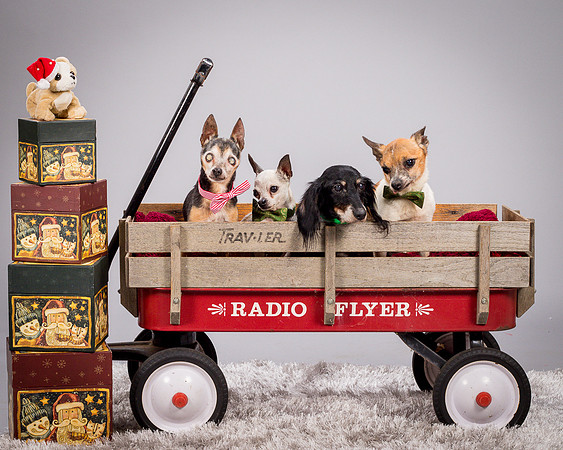 Foster Hospice Gang-3802