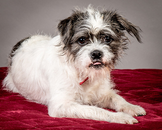 Foster Leeza-2742