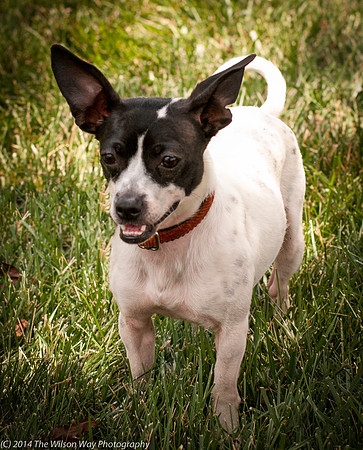 Foster Melia-9819