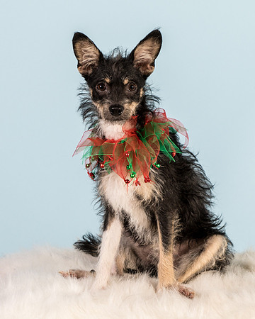 Foster Riley-5018