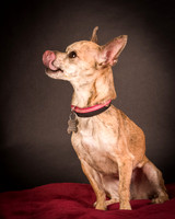 Foster Selina-1059